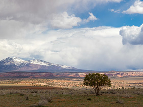 20190421-_B9A3758-Pano