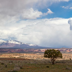 20190421-_B9A3758-Pano