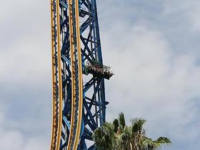 34