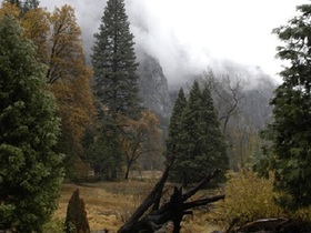 Yosemite-1