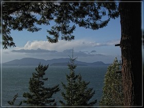 Chuckanut Drive
