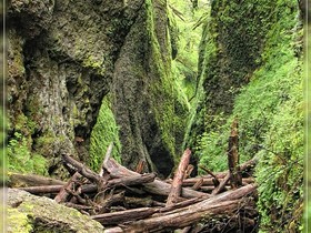 Oneonta Gorge