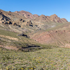 20190504-_H7I0715