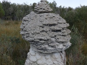 P9131009