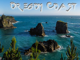 Oregon-Coast-Panorama2_bear
