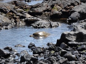 Black Beach 3