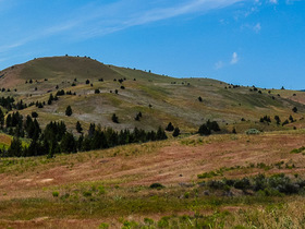 USA 2014 - 5896 - Hwy 218 Shaniko - Antelope - Clarno-Pano
