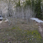 20190506-_H7I0824