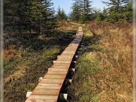 Point Bridget