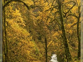 Silver Falls