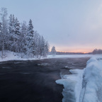 20190207-_2075836