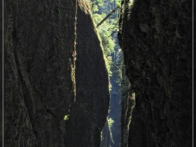 Oneonta Gorge