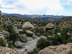 Chiricahua Panorama13 Kopie