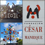Collage_Foundacion