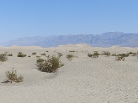 P9120969