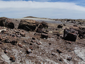 USA 2013 - 6353 - Petrified Forest NP Panorama29