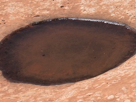 pfuetze 1