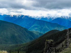 Hurricane Ridge Panorama3