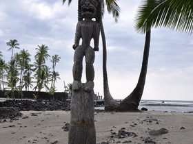 tiki6