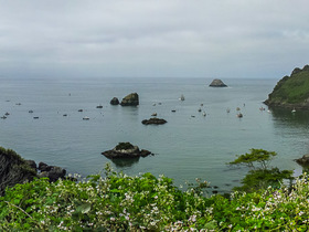 USA 2014 - 1249 - Trinidad LHPanorama