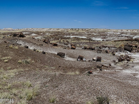 USA 2013 - 6352 - Petrified Forest NP Panorama28