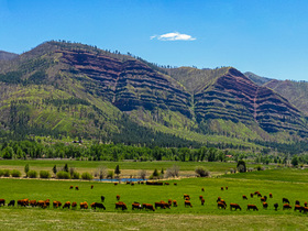 USA 2013 - 4887 - from Durango to Silverton - Panorama1