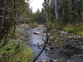 P9131147