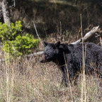 20190514-_B9A5841