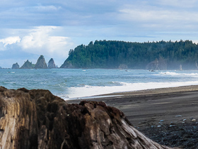 USA 2014 - 3336 - La Push - Rialto BeachPanorama5