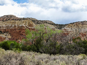 USA 2013 - 3778 - Ghost Ranch near Abiquiu-Box Canyon TrailPanorama