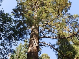 P9141189