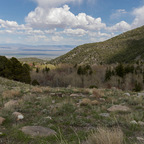 20190506-_H7I0822