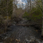 20190506-_H7I0811