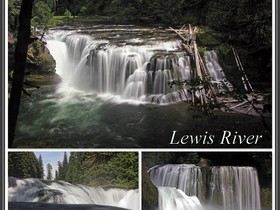 Twin Falls