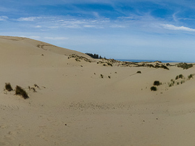 Oregon Dunes Panorama1