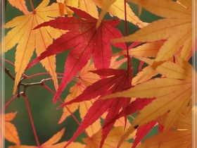 Japanische Gärten
