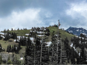 Hurricane Ridge Panorama2