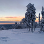 20190205-2019-02-05 15.42.23 HDR-1