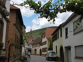 comp_P1020580