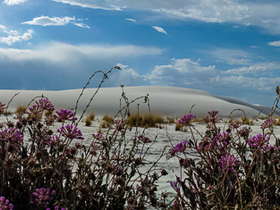 White Sands Panorama5