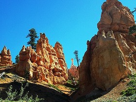 comp_100_3377