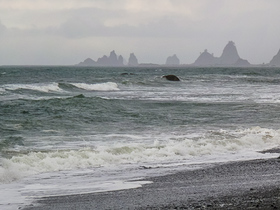 USA 2014 - 3334 - La Push - Rialto BeachPanorama2