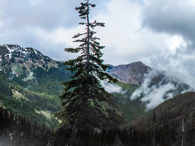 Hurricane Ridge Panorama5-2