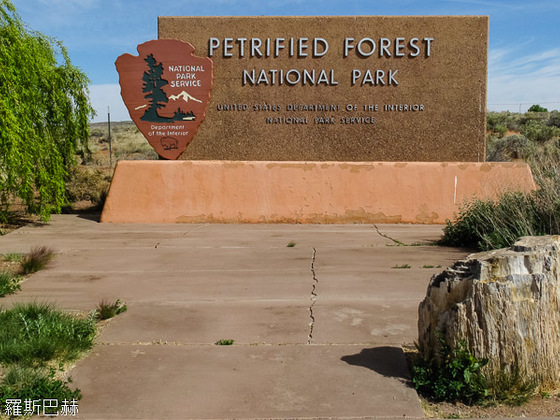 USA 2013 - 6044 - Petrified Forest NP