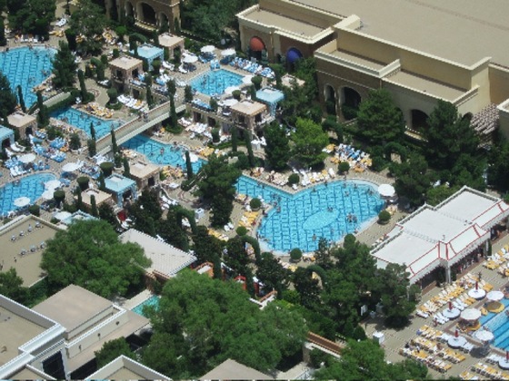 Encore Las Vegas (Wynn Pool)