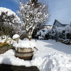 Heute in unserem Garten