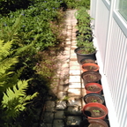 IMAG0280