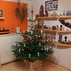 Baum