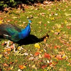 IMG_20191031_112912
