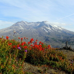 Mt. St. Helens